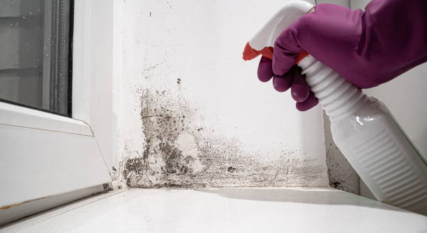 Kearney, MO Water damage restoration Company